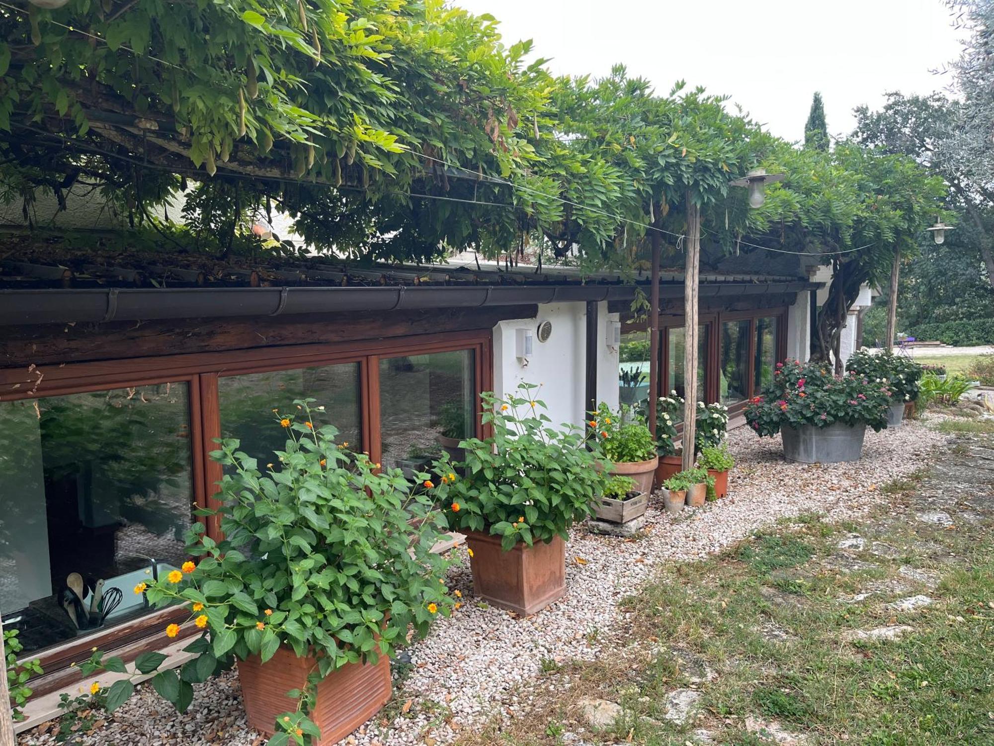佩萨罗Casa Sant Angelo公寓 外观 照片