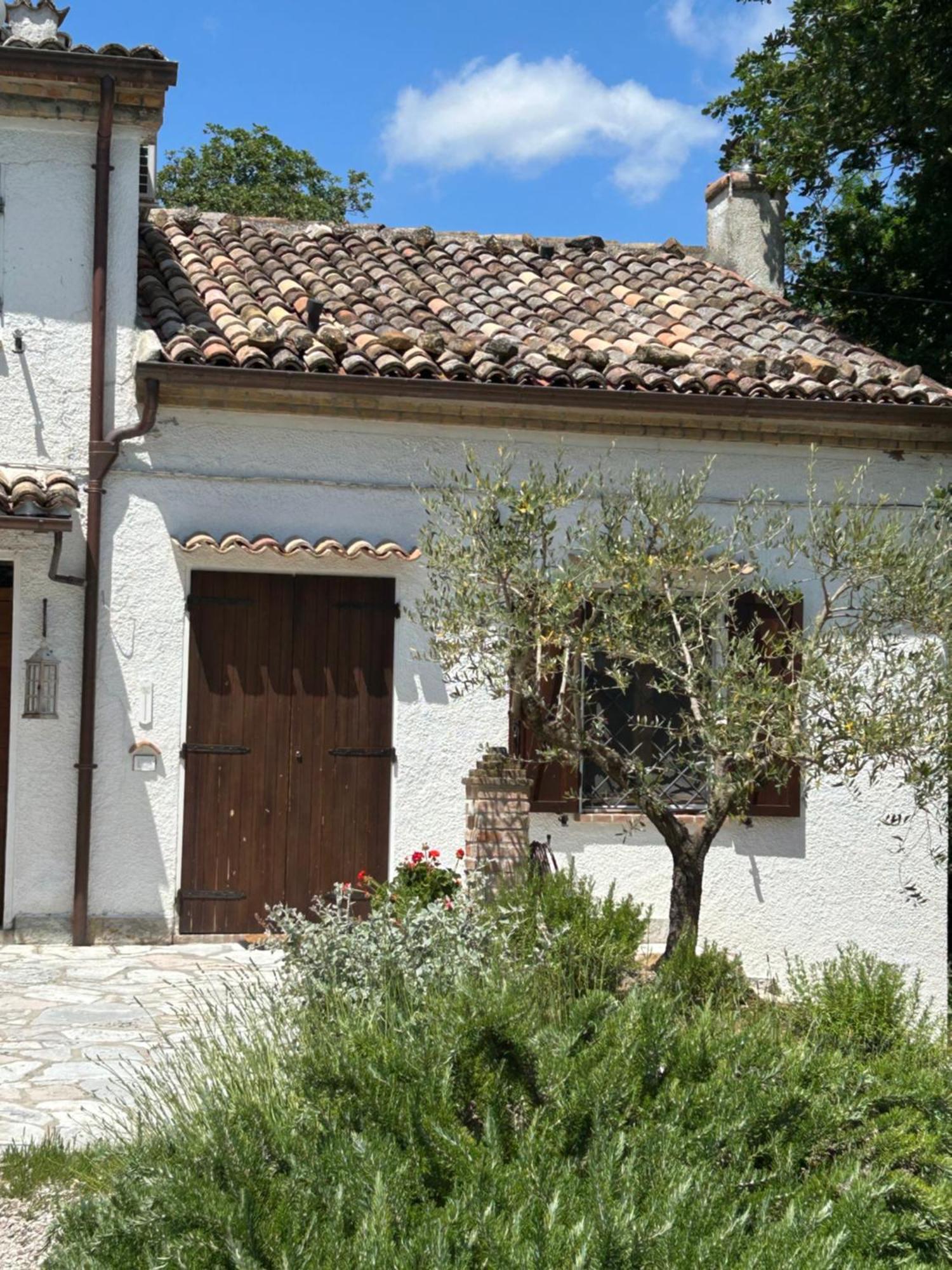 佩萨罗Casa Sant Angelo公寓 外观 照片