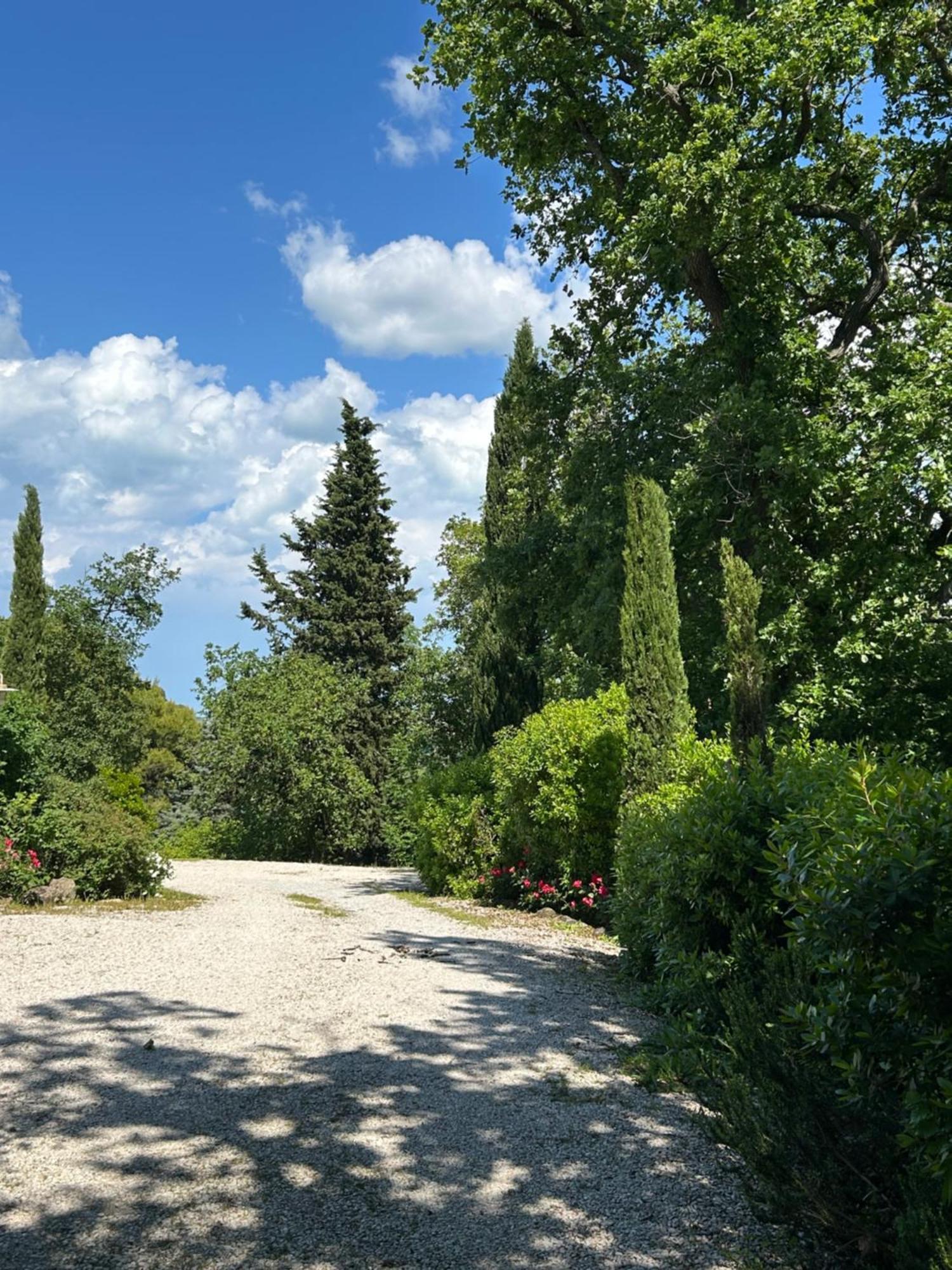 佩萨罗Casa Sant Angelo公寓 外观 照片